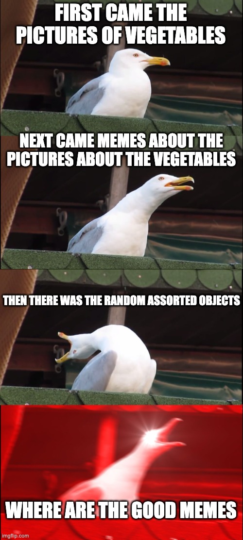 The front page has been taken over by: ironing board, lemon, lettuce, pillow, platypus... need I say more? | FIRST CAME THE PICTURES OF VEGETABLES; NEXT CAME MEMES ABOUT THE PICTURES ABOUT THE VEGETABLES; THEN THERE WAS THE RANDOM ASSORTED OBJECTS; WHERE ARE THE GOOD MEMES | image tagged in memes,inhaling seagull,front page,lettuce | made w/ Imgflip meme maker