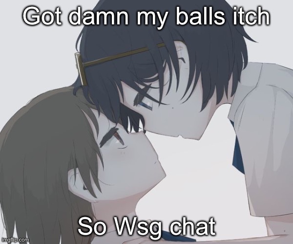 Avogado6 | Got damn my balls itch; So Wsg chat | image tagged in avogado6 | made w/ Imgflip meme maker