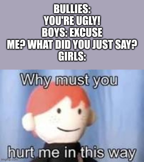 Excuse me? What? | BULLIES: YOU'RE UGLY!
BOYS: EXCUSE ME? WHAT DID YOU JUST SAY?
GIRLS: | image tagged in why must you hurt me in this way,bullies | made w/ Imgflip meme maker