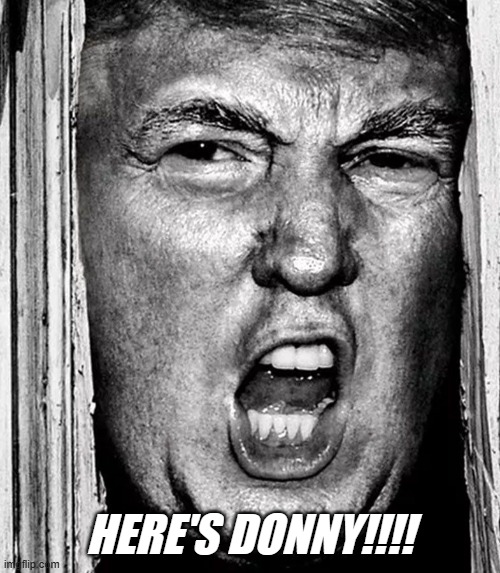 Trump shining | HERE'S DONNY!!!! | image tagged in trump shining | made w/ Imgflip meme maker