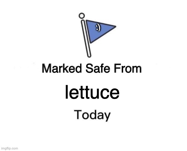yes | :); lettuce | image tagged in memes,marked safe from,funny,flag,lettuce | made w/ Imgflip meme maker