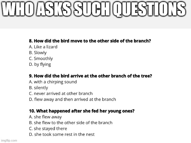 questions in ohio | WHO ASKS SUCH QUESTIONS | image tagged in questions,test | made w/ Imgflip meme maker