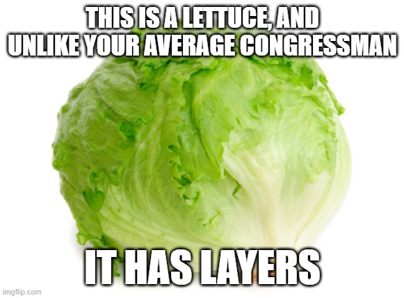 Lettuce  | THIS IS A LETTUCE, AND UNLIKE YOUR AVERAGE CONGRESSMAN; IT HAS LAYERS | image tagged in lettuce,memes,democrats,republicans,congress,joe biden | made w/ Imgflip meme maker