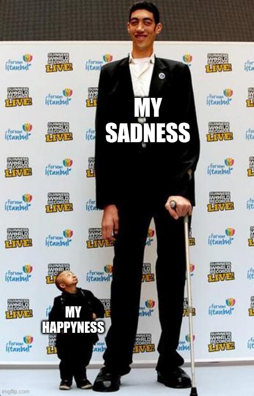 the tallest and shortest man in the world | MY SADNESS; MY HAPPYNESS | image tagged in the tallest and shortest man in the world | made w/ Imgflip meme maker