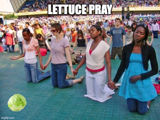 Brothers and Sisters... | LETTUCE PRAY | image tagged in lettuce,pray,upvote | made w/ Imgflip meme maker