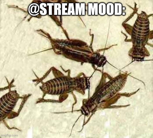 Crickets | @STREAM MOOD: | image tagged in crickets | made w/ Imgflip meme maker