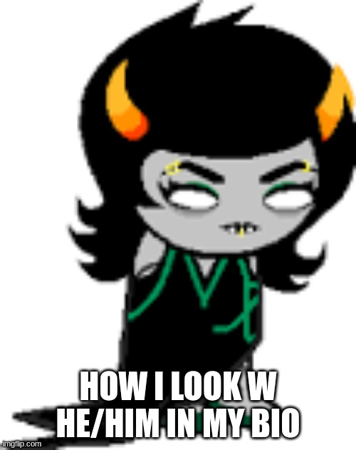 SHE IS SO ME | HOW I LOOK W HE/HIM IN MY BIO | image tagged in homestuck | made w/ Imgflip meme maker