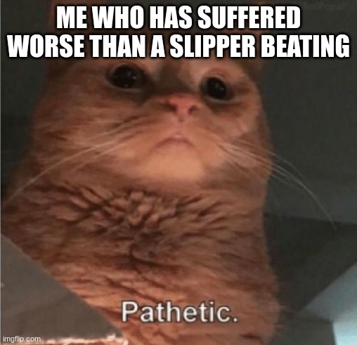 Pathetic Cat | ME WHO HAS SUFFERED WORSE THAN A SLIPPER BEATING | image tagged in pathetic cat | made w/ Imgflip meme maker