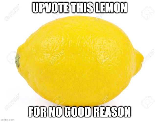 Potato | UPVOTE THIS LEMON; FOR NO GOOD REASON | image tagged in lemon,potato | made w/ Imgflip meme maker