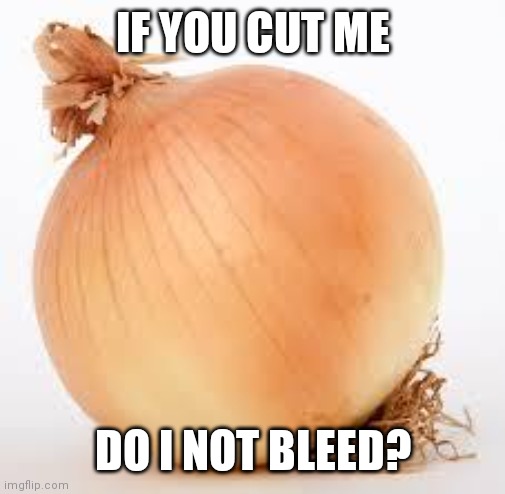 Onion | IF YOU CUT ME DO I NOT BLEED? | image tagged in onion | made w/ Imgflip meme maker