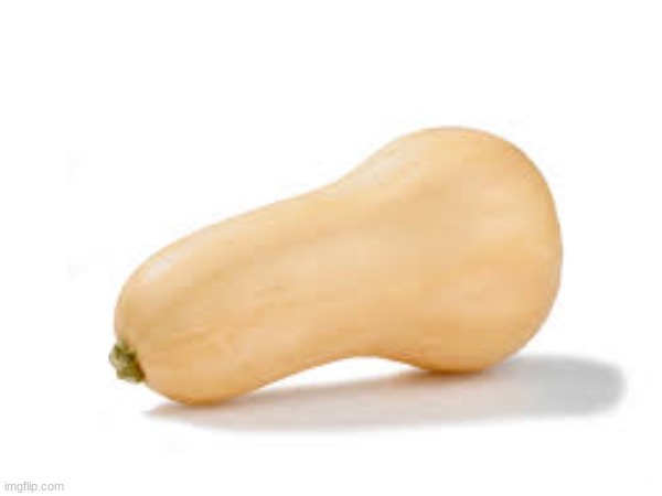 Squash | image tagged in squash,vegetables | made w/ Imgflip meme maker