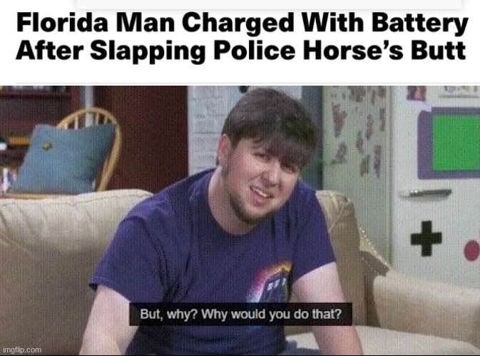 image tagged in but why why would you do that,repost,florida man,crazy,why,stop reading the tags | made w/ Imgflip meme maker