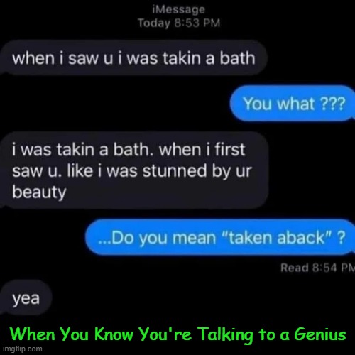 Better try another pick up line.... | When You Know You're Talking to a Genius | image tagged in fun,online dating,internet dating,pick up lines,imgflip humor,funny meme | made w/ Imgflip meme maker