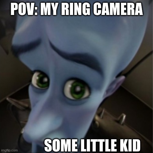 Megamind peeking | POV: MY RING CAMERA; SOME LITTLE KID | image tagged in megamind peeking | made w/ Imgflip meme maker