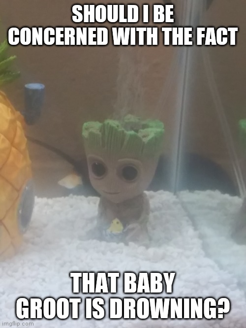 SHOULD I BE CONCERNED WITH THE FACT; THAT BABY GROOT IS DROWNING? | image tagged in memes | made w/ Imgflip meme maker