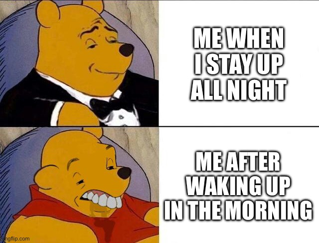 Tuxedo Winnie the Pooh grossed reverse | ME WHEN I STAY UP ALL NIGHT; ME AFTER WAKING UP IN THE MORNING | image tagged in tuxedo winnie the pooh grossed reverse,memes,funny | made w/ Imgflip meme maker