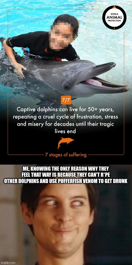 Not exactly sure remorse is adequate in this situation | ME, KNOWING THE ONLY REASON WHY THEY FEEL THAT WAY IS BECAUSE THEY CAN'T R*PE OTHER DOLPHINS AND USE PUFFERFISH VENOM TO GET DRUNK | image tagged in memes,spiderman peter parker,dolphins,aquarium,dark humor | made w/ Imgflip meme maker