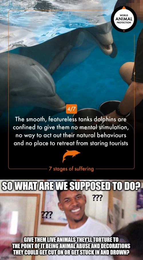I think blank tanks are fine if other enrichment is provided. | SO WHAT ARE WE SUPPOSED TO DO? GIVE THEM LIVE ANIMALS THEY'LL TORTURE TO THE POINT OF IT BEING ANIMAL ABUSE AND DECORATIONS THEY COULD GET CUT ON OR GET STUCK IN AND DROWN? | image tagged in black guy confused,aquarium | made w/ Imgflip meme maker