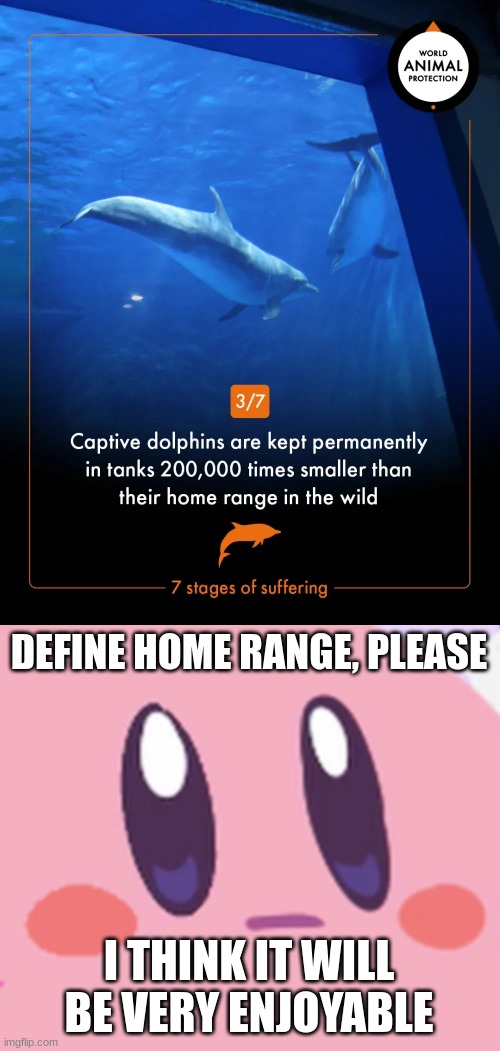 Dolphins don't need the entire ocean to be happy... | DEFINE HOME RANGE, PLEASE; I THINK IT WILL BE VERY ENJOYABLE | image tagged in blank kirby face,dolphins,aquarium | made w/ Imgflip meme maker