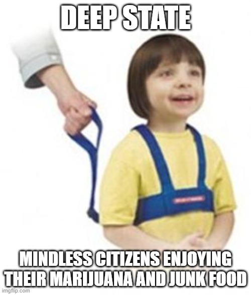 tot-alitarian | DEEP STATE; MINDLESS CITIZENS ENJOYING THEIR MARIJUANA AND JUNK FOOD | image tagged in weird kid on leash | made w/ Imgflip meme maker