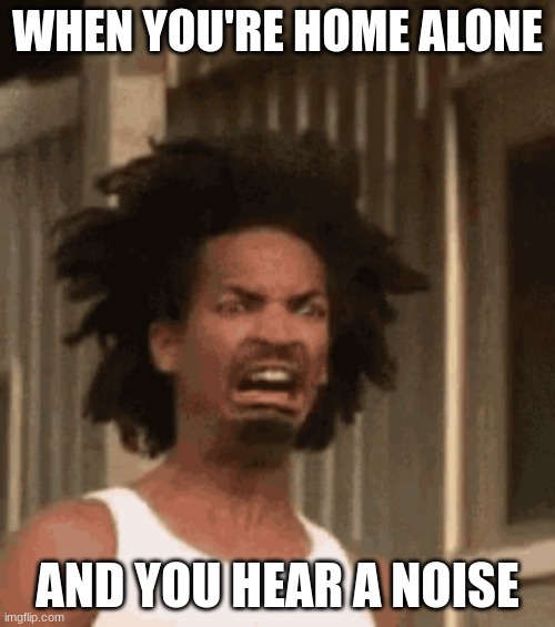 WHEN YOU'RE HOME ALONE; AND YOU HEAR A NOISE | image tagged in relatable,home alone | made w/ Imgflip meme maker