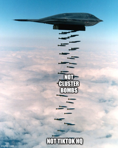 NOT cluster bombs | NOT CLUSTER BOMBS; NOT TIKTOK HQ | image tagged in b2 bombing run,tiktok sucks,tik tok sucks | made w/ Imgflip meme maker