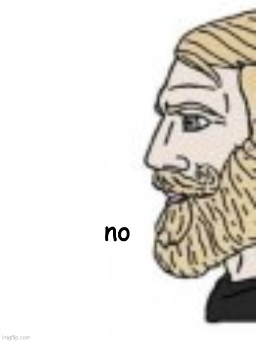 no | made w/ Imgflip meme maker