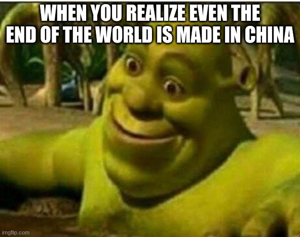 anyone agree | WHEN YOU REALIZE EVEN THE END OF THE WORLD IS MADE IN CHINA | image tagged in sherk amazed | made w/ Imgflip meme maker