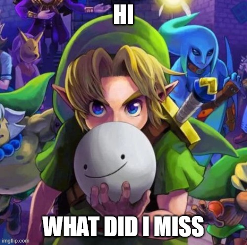 Link with a dream mask | HI; WHAT DID I MISS | image tagged in link with a dream mask | made w/ Imgflip meme maker