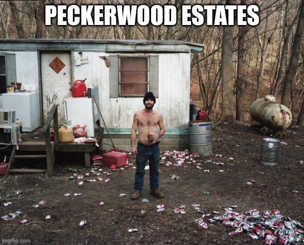 peckerwood | PECKERWOOD ESTATES | image tagged in trailer trash,peckerwoods | made w/ Imgflip meme maker