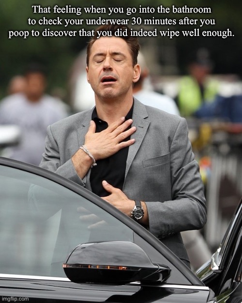 Relief | That feeling when you go into the bathroom to check your underwear 30 minutes after you poop to discover that you did indeed wipe well enough. | image tagged in relief,poop,toilet paper,underwear,robert downey jr | made w/ Imgflip meme maker