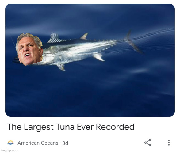 Chicken of the C. | image tagged in memes,mccarthy,tuna | made w/ Imgflip meme maker