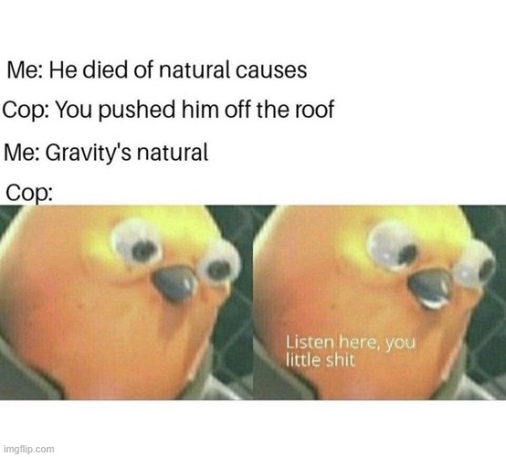no no hes got a point | image tagged in listen here you little shit bird | made w/ Imgflip meme maker