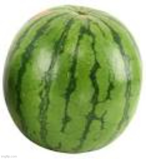 Melon...it good. | image tagged in fruit week,fruits | made w/ Imgflip meme maker