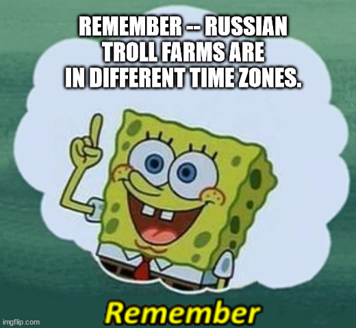 Remember | REMEMBER -- RUSSIAN TROLL FARMS ARE IN DIFFERENT TIME ZONES. | image tagged in remember | made w/ Imgflip meme maker