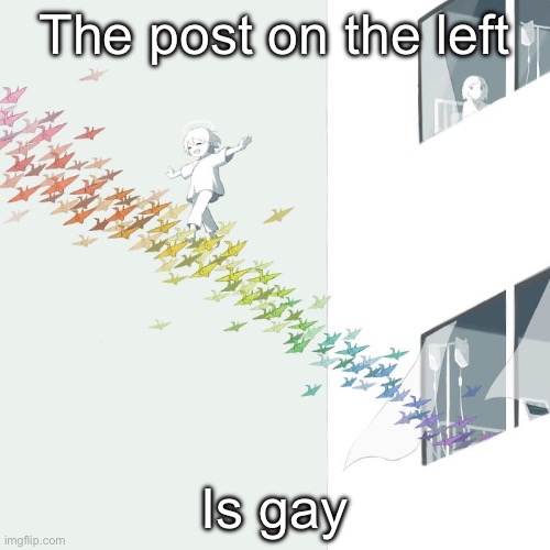Avogado6 | The post on the left; Is gay | image tagged in avogado6 | made w/ Imgflip meme maker