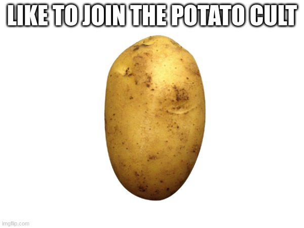 like to join the potato cult | LIKE TO JOIN THE POTATO CULT | image tagged in potato | made w/ Imgflip meme maker