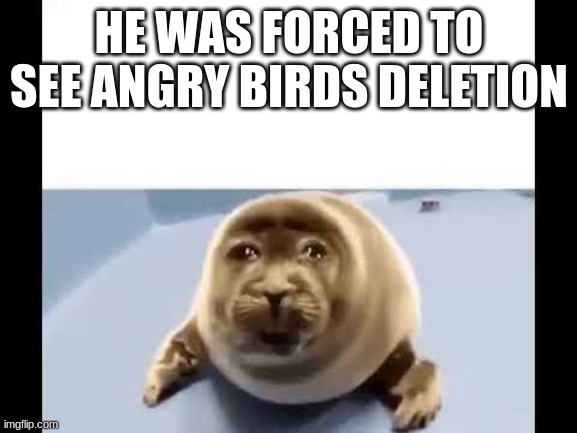 what a sad thing to see the things you love go away | HE WAS FORCED TO SEE ANGRY BIRDS DELETION | image tagged in he was forced to eat cement,memes,angry birds | made w/ Imgflip meme maker