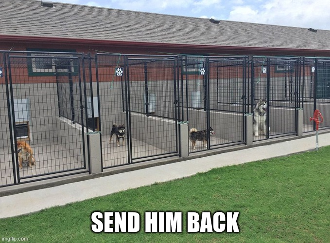 Dog Boarding Kennel | SEND HIM BACK | image tagged in dog boarding kennel | made w/ Imgflip meme maker