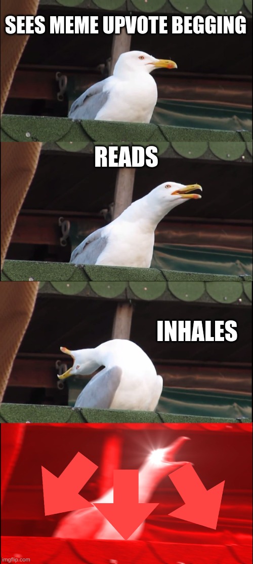 Inhaling Seagull | SEES MEME UPVOTE BEGGING; READS; INHALES | image tagged in memes,inhaling seagull | made w/ Imgflip meme maker