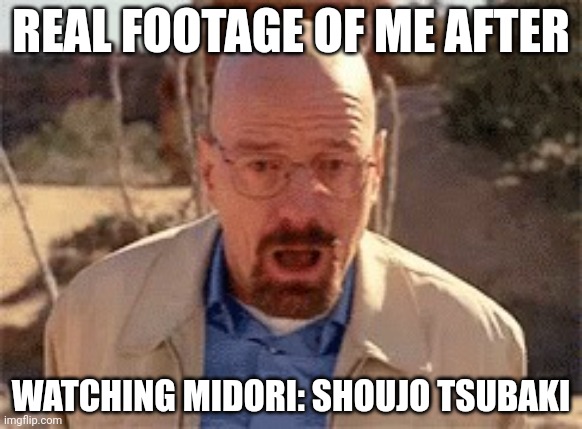 it's banned all around the world for a reason, haha.. | REAL FOOTAGE OF ME AFTER; WATCHING MIDORI: SHOUJO TSUBAKI | image tagged in walter white,anime,banned anime,midori shoujo tsubaki,midori,shoujo tsubaki | made w/ Imgflip meme maker