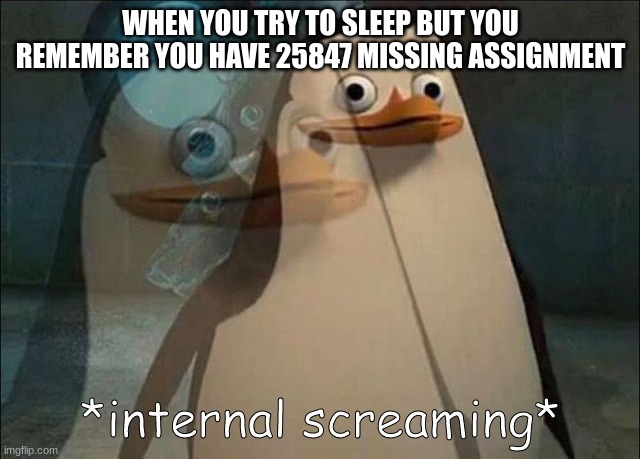 Private Internal Screaming | WHEN YOU TRY TO SLEEP BUT YOU REMEMBER YOU HAVE 25847 MISSING ASSIGNMENT | image tagged in private internal screaming | made w/ Imgflip meme maker