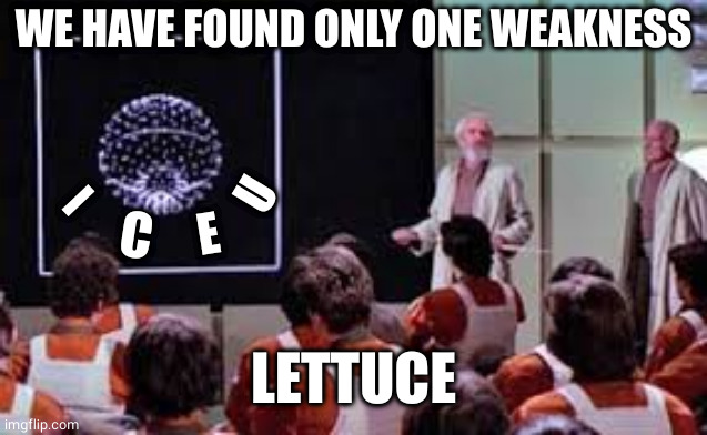 Lettuce destroy the Death Star | WE HAVE FOUND ONLY ONE WEAKNESS; U; I; C; E; LETTUCE | image tagged in star wars death star attack run meeting | made w/ Imgflip meme maker