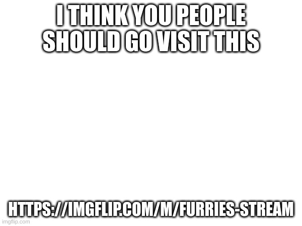 go check it out | I THINK YOU PEOPLE SHOULD GO VISIT THIS; HTTPS://IMGFLIP.COM/M/FURRIES-STREAM | image tagged in memes | made w/ Imgflip meme maker