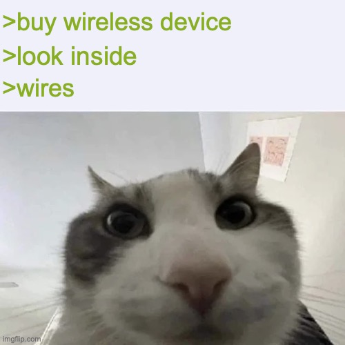 This is a recreation of an existing meme and I'm stealing it to share this template | >buy wireless device; >look inside; >wires | image tagged in green text cat,cat,cats | made w/ Imgflip meme maker