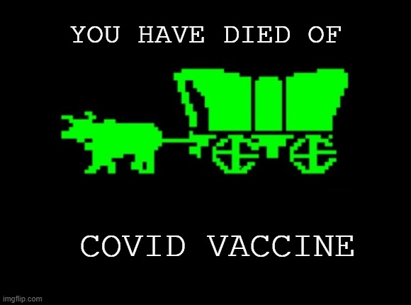 The Oregon Trail of Tears: Based | YOU HAVE DIED OF; COVID VACCINE | image tagged in oregon trail,covid,covid vaccine,died suddenly | made w/ Imgflip meme maker