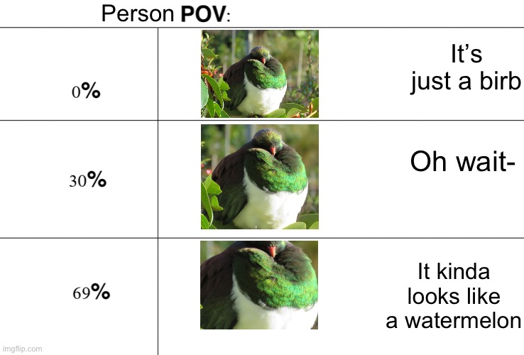 Watermelon Birb | Person; It’s just a birb; Oh wait-; It kinda looks like a watermelon | image tagged in zooming in,pigeon | made w/ Imgflip meme maker