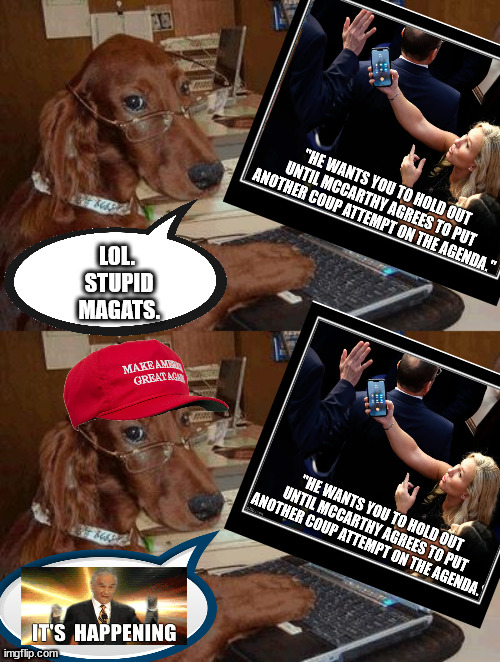 Reality vs. Delusional Fantasy. | LOL.
 STUPID
 MAGATS. | image tagged in dog with glasses on computer,stoopid magats | made w/ Imgflip meme maker