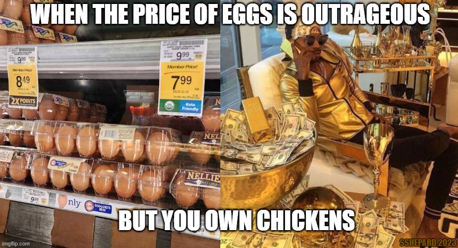 Price of Eggs But You Got Chickens | WHEN THE PRICE OF EGGS IS OUTRAGEOUS; BUT YOU OWN CHICKENS; SSHEPARD 2023 | image tagged in price,eggs,own chickens,inflation | made w/ Imgflip meme maker