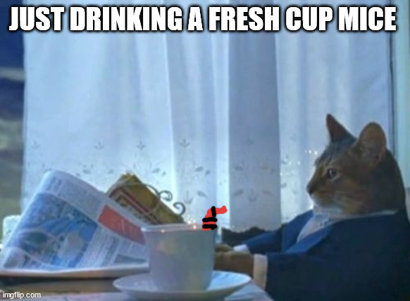 *slurp* Tasty | JUST DRINKING A FRESH CUP MICE | image tagged in memes,i should buy a boat cat | made w/ Imgflip meme maker